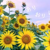 息子よ。お米炊いとく?って言ったなら炊いておいて欲しいのよ。