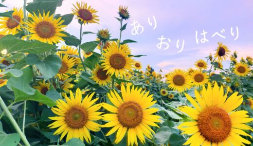息子よ。お米炊いとく？って言ったなら炊いておいて欲しいのよ。