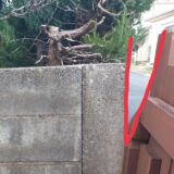 つるバラを誘引する素敵なフェンスが欲しい。